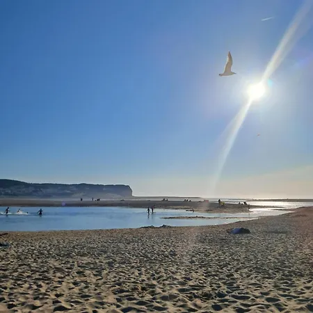 Latitude 39º Διαμέρισμα Sao Martinho do Porto